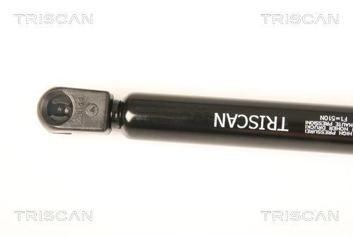 Vérin (Vérin de hayon) Triscan A/S 8710 66204