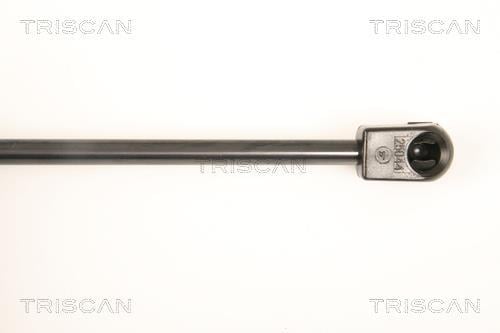 Vérin (Vérin de hayon) Triscan A/S 8710 66204