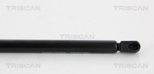 Vérin (Vérin de hayon) Triscan A/S 8710 66205