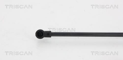 Vérin (Vérin de hayon) Triscan A/S 8710 66205