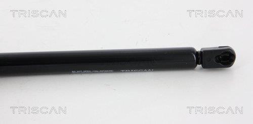Muelle neumático Triscan A/S 8710 66206