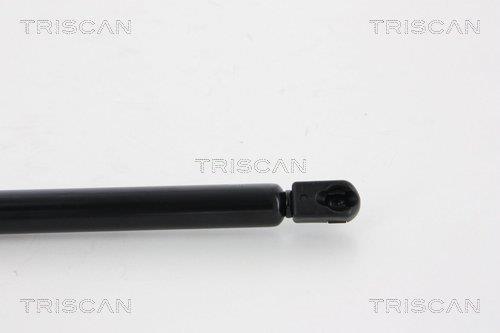 Vérin (Vérin de hayon) Triscan A/S 8710 66207