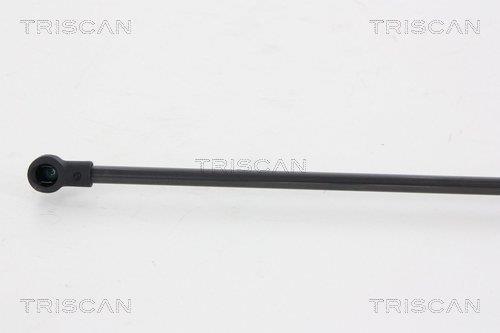 Vérin (Vérin de hayon) Triscan A/S 8710 66207