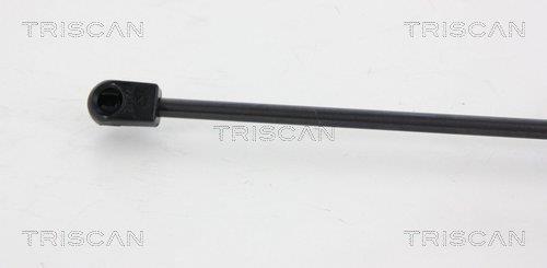 Vérin (Vérin de hayon) Triscan A/S ref. 8710 66208