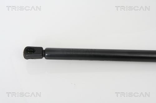 Vérin (Vérin de hayon) Triscan A/S 8710 67100