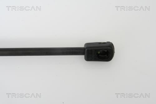 Vérin (Vérin de hayon) Triscan A/S 8710 67100