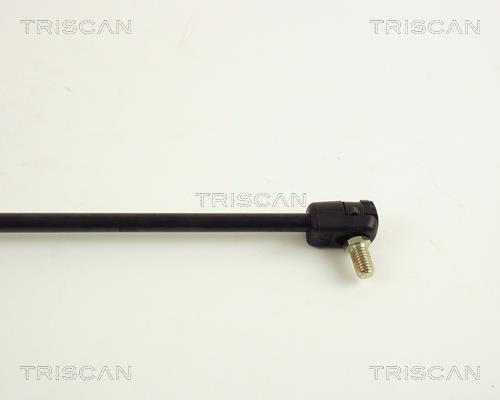 Vérin (Vérin de hayon) Triscan A/S 8710 67202