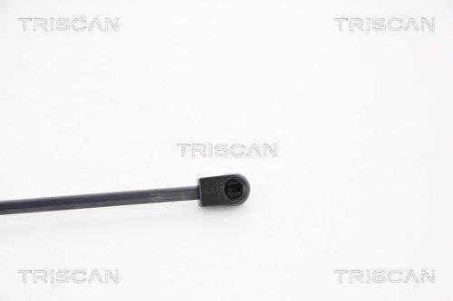 Vérin (Vérin de hayon) Triscan A/S 8710 67203