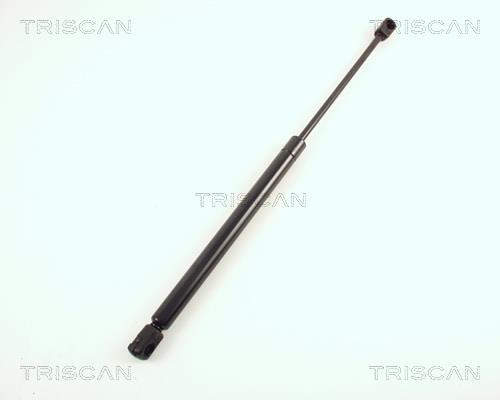 Vérin (Vérin de hayon) Triscan A/S 8710 67204