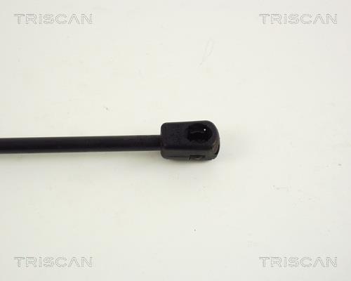 Vérin (Vérin de hayon) Triscan A/S 8710 67204