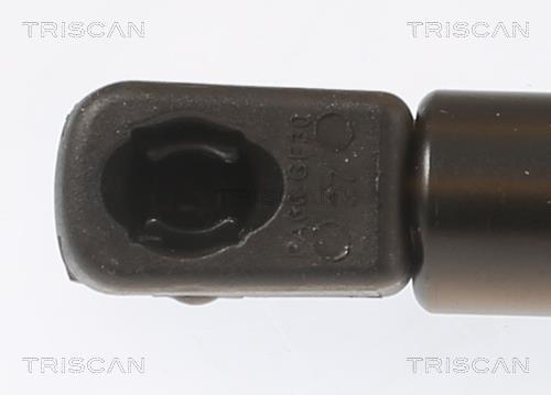 Vérin (Vérin de hayon) Triscan A/S 8710 67205
