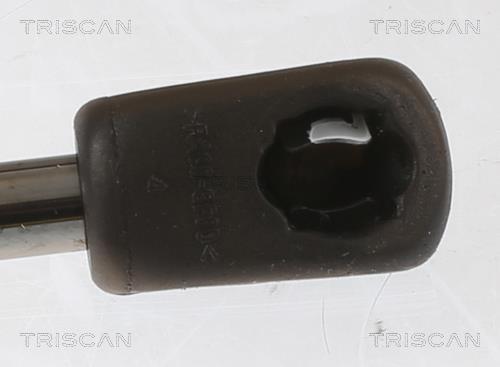 Vérin (Vérin de hayon) Triscan A/S 8710 67205