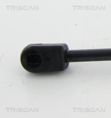 Vérin (Vérin de hayon) Triscan A/S 8710 67206