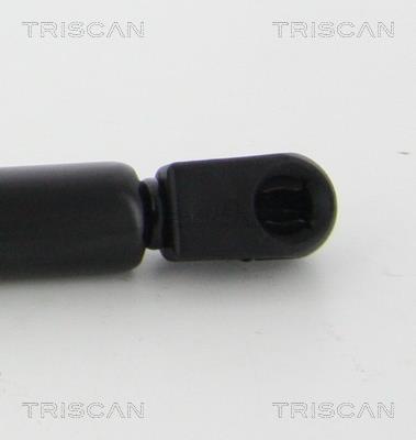 Vérin (Vérin de hayon) Triscan A/S 8710 67206