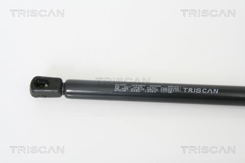 Muelle neumático Triscan A/S 8710 67208