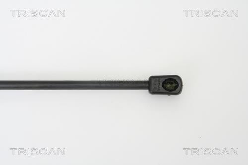 Muelle neumático Triscan A/S 8710 67208