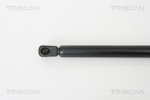 Muelle neumático Triscan A/S 8710 67209