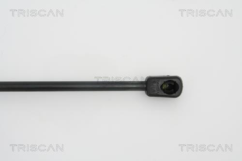 Muelle neumático Triscan A/S 8710 67209