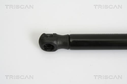 Vérin (Vérin de hayon) Triscan A/S 8710 67211