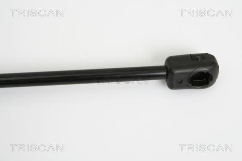 Vérin (Vérin de hayon) Triscan A/S 8710 67211