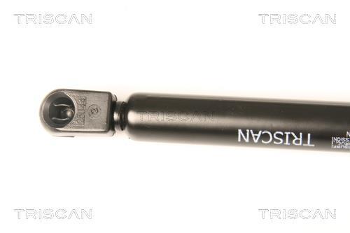 Cilindro Triscan A/S 8710 67212