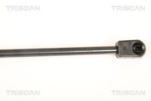 Cilindro Triscan A/S 8710 67212