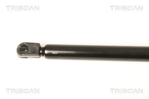 Cilindro Triscan A/S 8710 67213