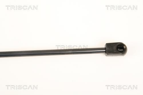 Cilindro Triscan A/S 8710 67213