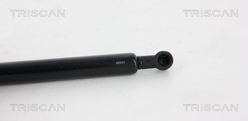 Vérin (Vérin de hayon) Triscan A/S 8710 67214