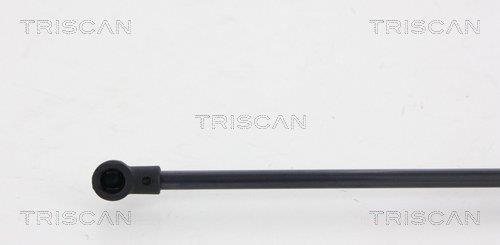 Vérin (Vérin de hayon) Triscan A/S 8710 67214