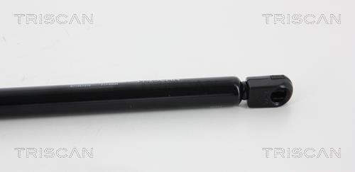 Vérin (Vérin de hayon) Triscan A/S 8710 67216