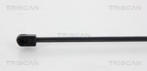 Vérin (Vérin de hayon) Triscan A/S 8710 67216