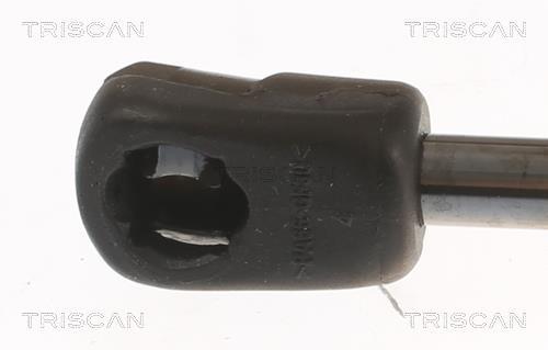 Muelle neumático Triscan A/S 8710 67217