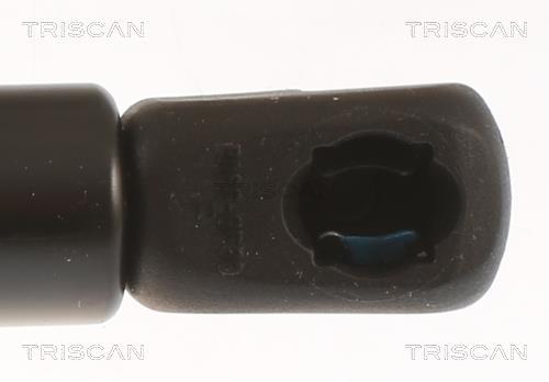 Muelle neumático Triscan A/S 8710 67217