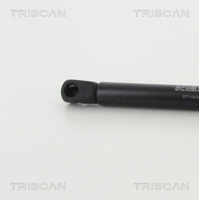 Vérin (Vérin de hayon) Triscan A/S ref. 8710 68100