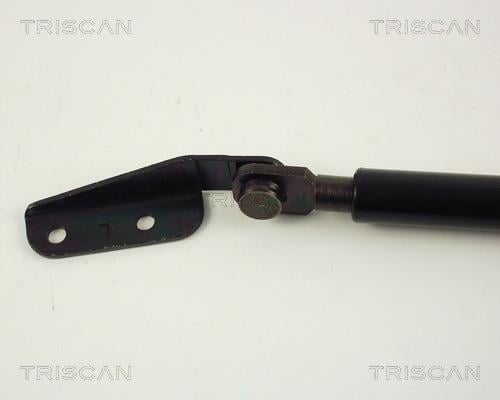 Cilindro Triscan A/S 8710 68202