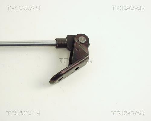 Cilindro Triscan A/S 8710 68202