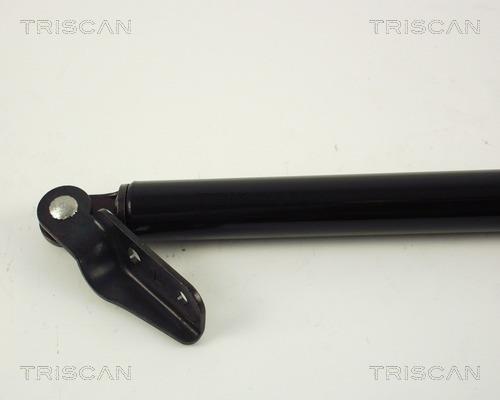 Vérin (Vérin de hayon) Triscan A/S 8710 68204