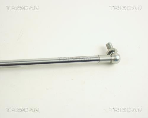 Vérin (Vérin de hayon) Triscan A/S 8710 68204