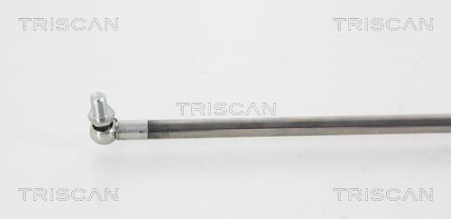 Vérin (Vérin de hayon) Triscan A/S 8710 68206