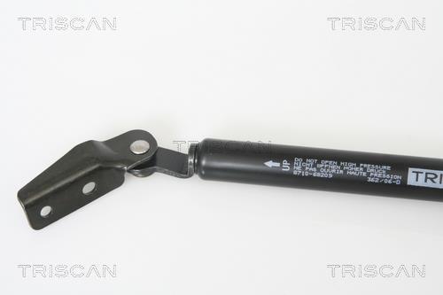 Vérin (Vérin de hayon) Triscan A/S 8710 68209