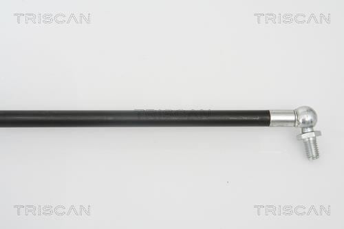 Vérin (Vérin de hayon) Triscan A/S 8710 68209