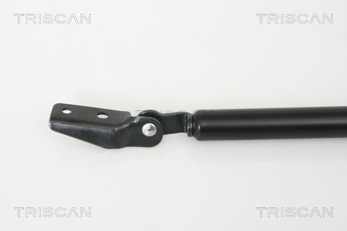 Vérin (Vérin de hayon) Triscan A/S 8710 68210