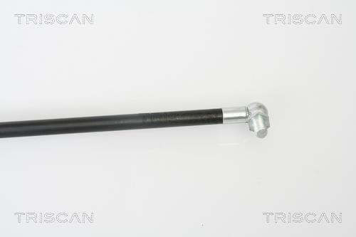 Vérin (Vérin de hayon) Triscan A/S 8710 68210