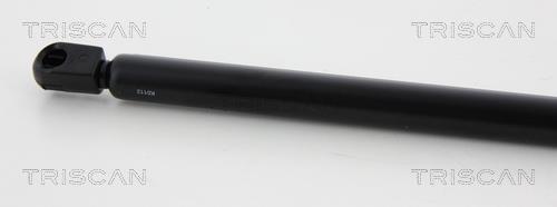 Vérin (Vérin de hayon) Triscan A/S ref. 8710 68213
