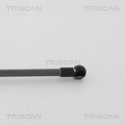 Vérin (Vérin de hayon) Triscan A/S ref. 8710 68215