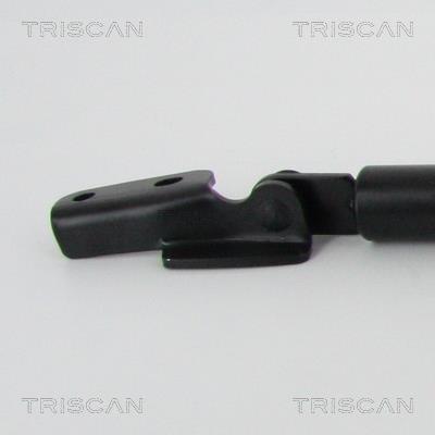 Vérin (Vérin de hayon) Triscan A/S 8710 68217