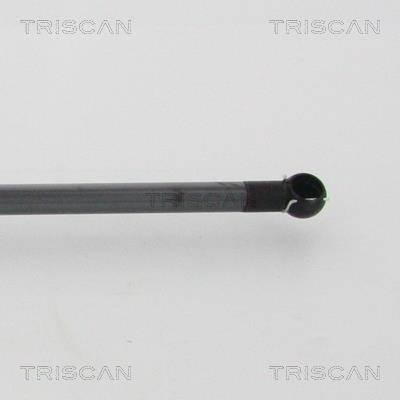 Vérin (Vérin de hayon) Triscan A/S 8710 68217