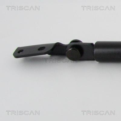 Vérin (Vérin de hayon) Triscan A/S 8710 68218