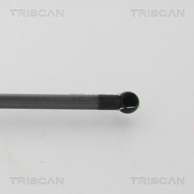 Vérin (Vérin de hayon) Triscan A/S 8710 68218